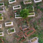 Studio Daliel: Overlijden in Nederland